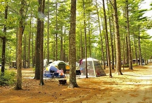 Gateway To Cape Cod Rv Resort Rochester Bagian luar foto
